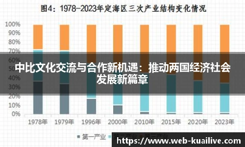 中比文化交流与合作新机遇：推动两国经济社会发展新篇章